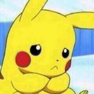 Meet your Posher, Destany